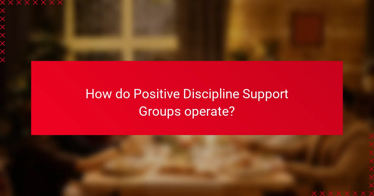 How do Positive Discipline Support Groups operate?
