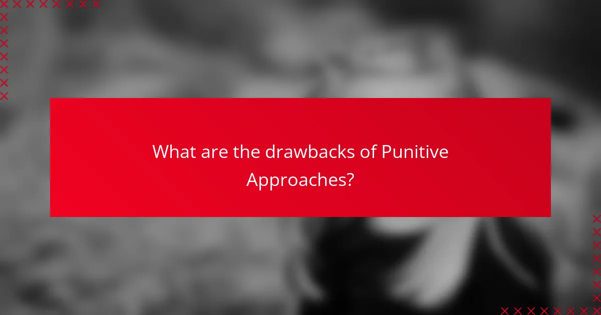 What are the drawbacks of Punitive Approaches?