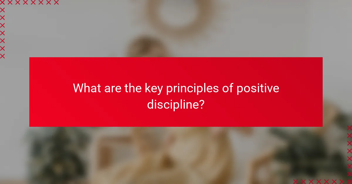 What are the key principles of positive discipline?