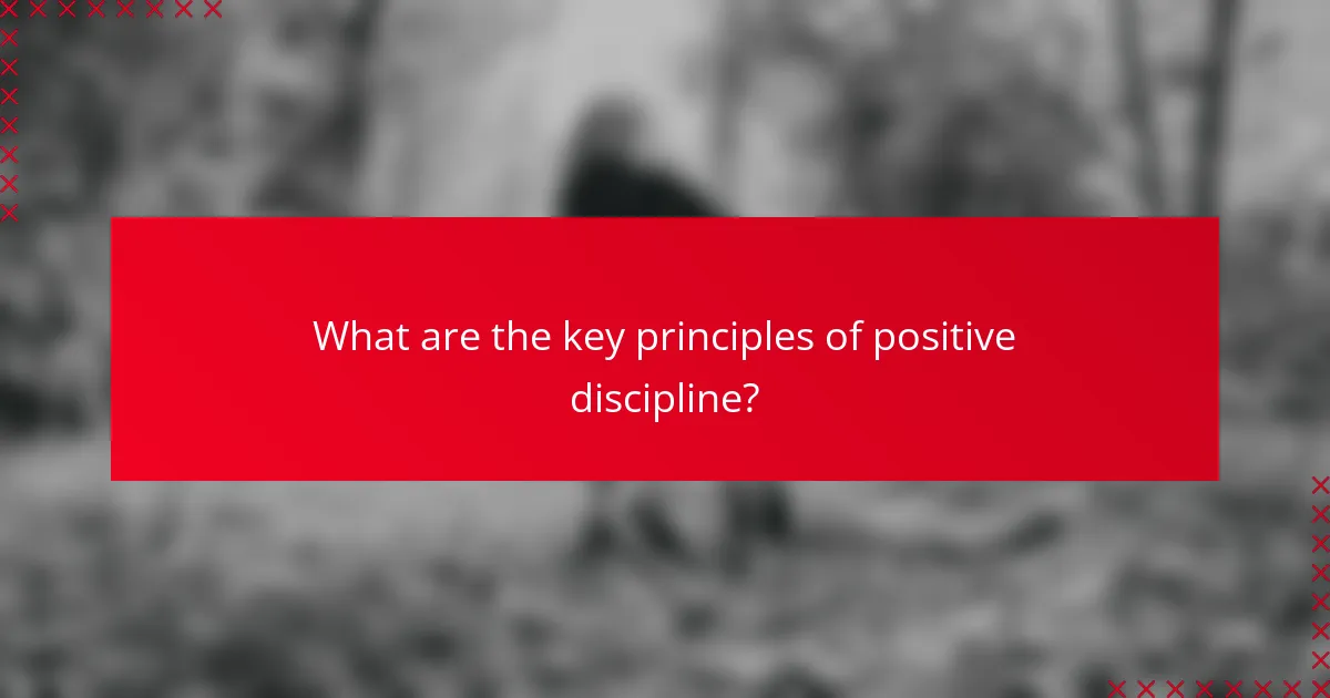 What are the key principles of positive discipline?