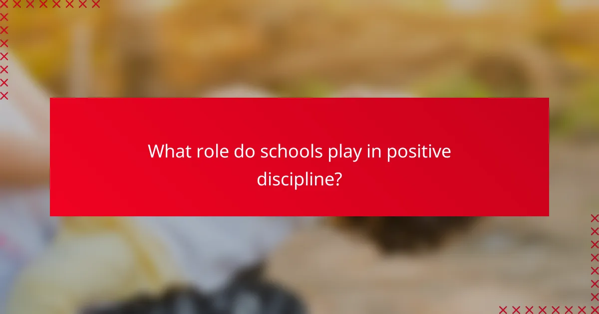 What role do schools play in positive discipline?