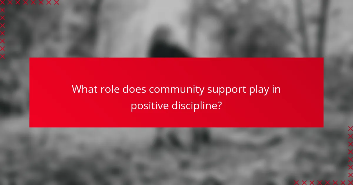 What role does community support play in positive discipline?
